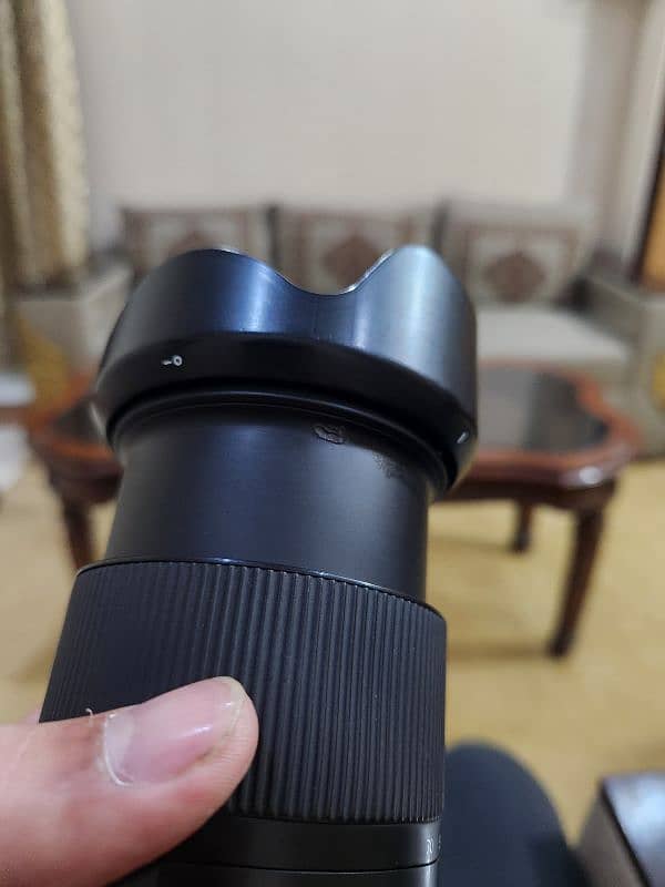 Tamron 17-70mm F2.8 with extra filters | Sony E-Mount Lens 2