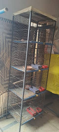 cage for birds