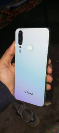 vivo