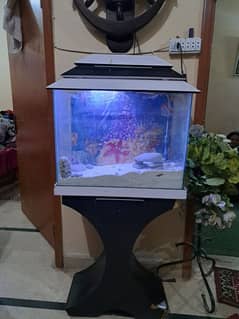 Aquarium for Sale