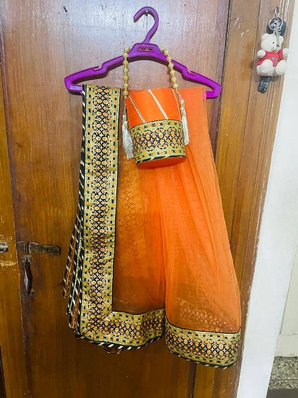 Peraan Choli lehenga with dupatta and potli 4