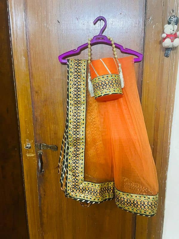 Peraan Choli lehenga with dupatta and potli 9