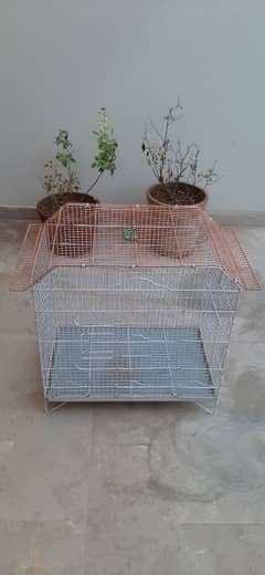 big cage available malir