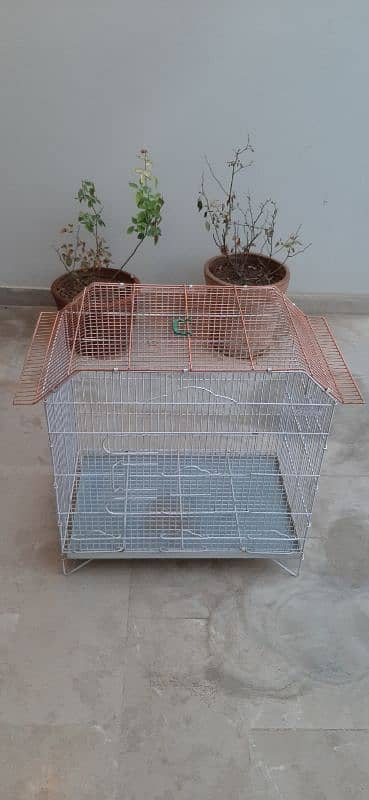 big cage available malir 0