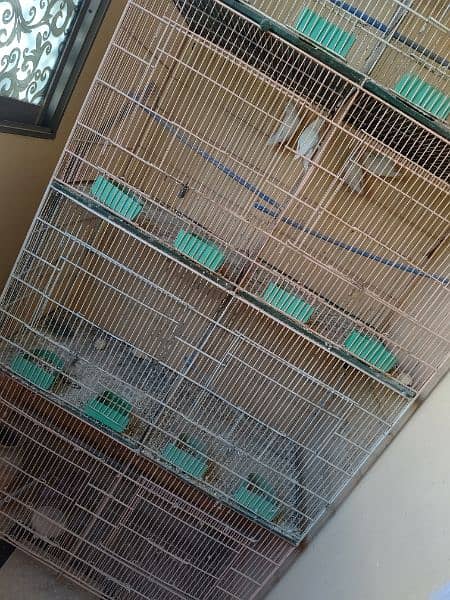 8 Box Cage Pinjra Condition 10/10 2