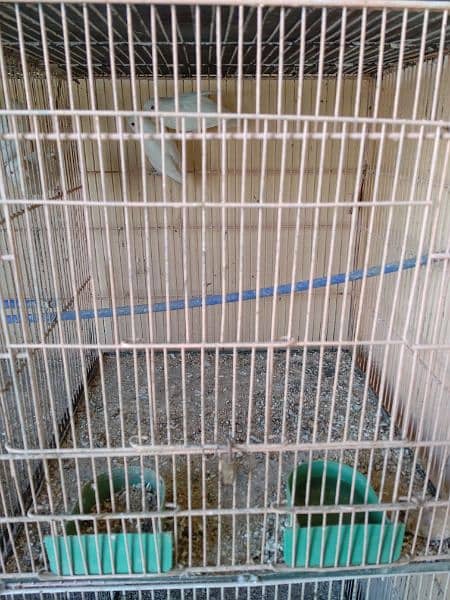 8 Box Cage Pinjra Condition 10/10 3