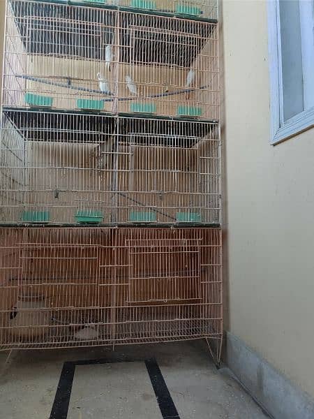 8 Box Cage Pinjra Condition 10/10 12