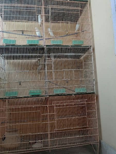 8 Box Cage Pinjra Condition 10/10 13