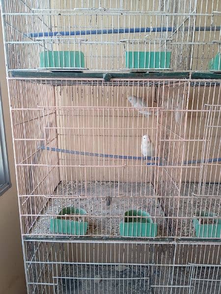 8 Box Cage Pinjra Condition 10/10 14