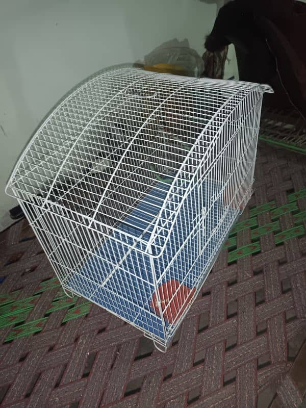 NEW LARGE SIZE CAGE 2