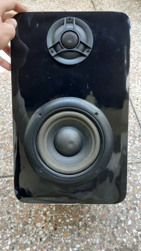 Subwoofer speaker 1