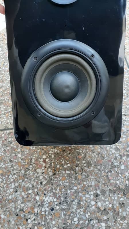 Subwoofer speaker 7