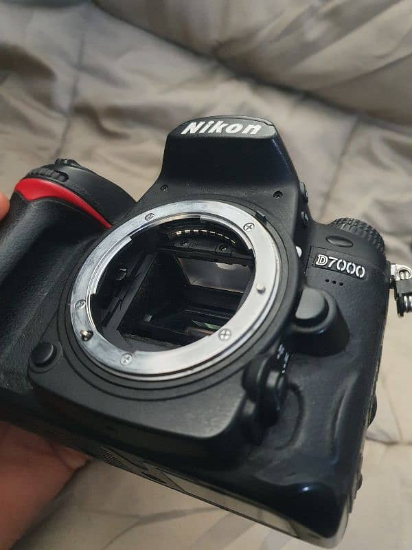 Nikon D7000 with 18-55mm 11