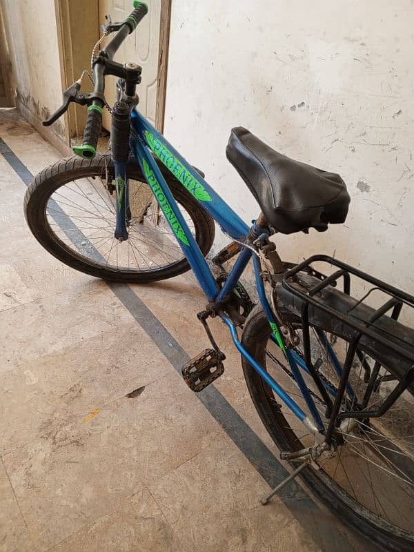 Phoenix Bicycle for sale 2