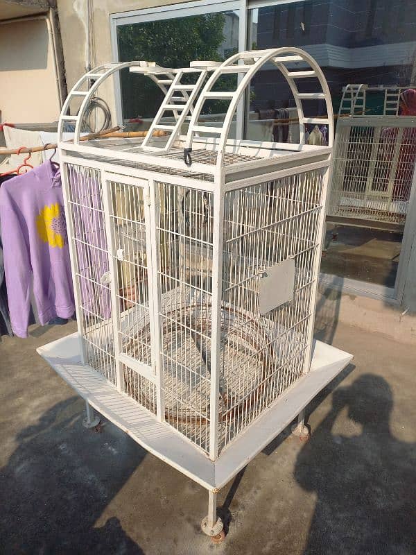 cage for sale 1