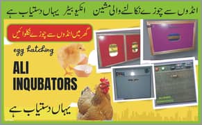 inqubators  & brooder انکیوبیٹر