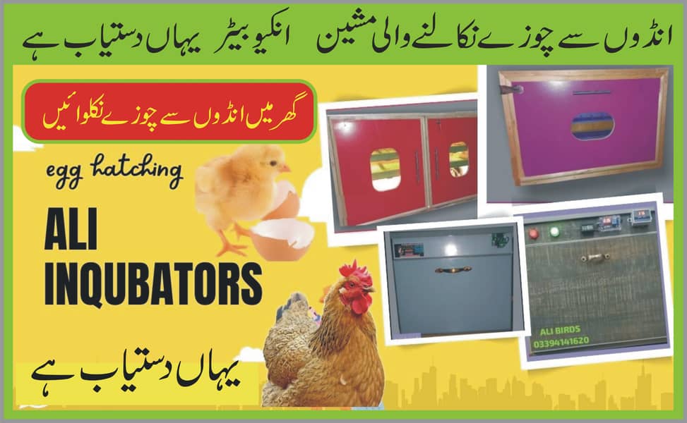 inqubators  & brooder انکیوبیٹر 0