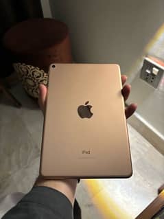 Ipad mini 5