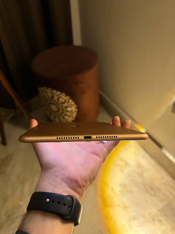 Ipad mini 5 1