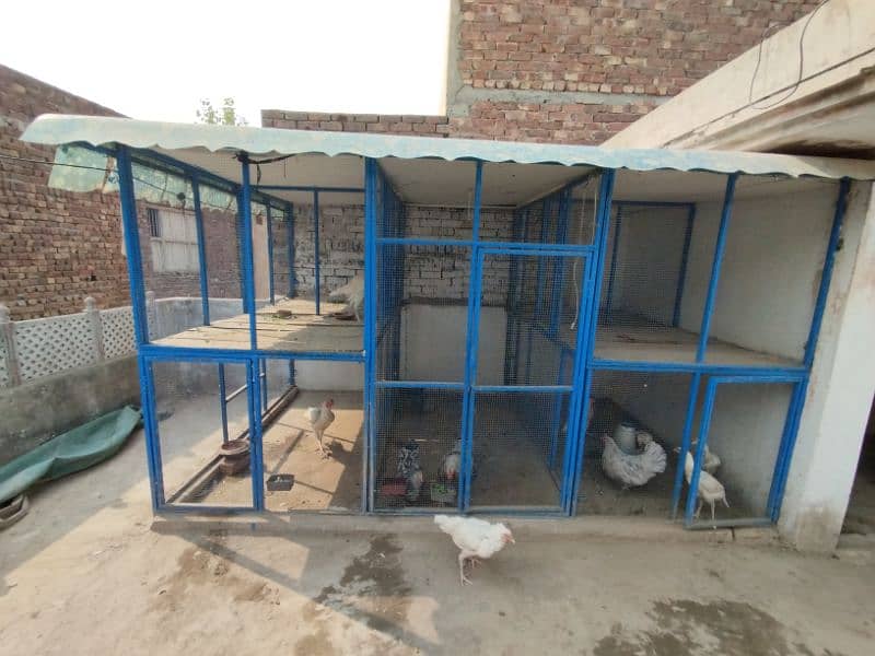 Top quality Big iron Cage | Hens cage | Aseel cage | Big cage 0