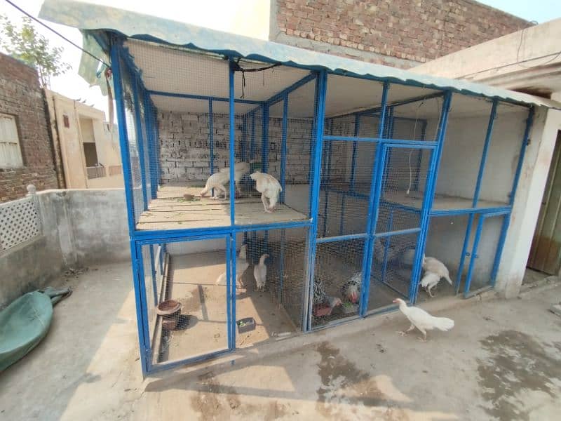 Top quality Big iron Cage | Hens cage | Aseel cage | Big cage 1