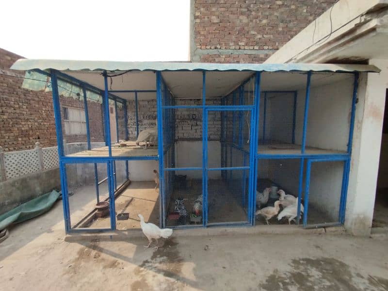 Top quality Big iron Cage | Hens cage | Aseel cage | Big cage 2