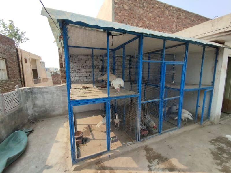 Top quality Big iron Cage | Hens cage | Aseel cage | Big cage 5