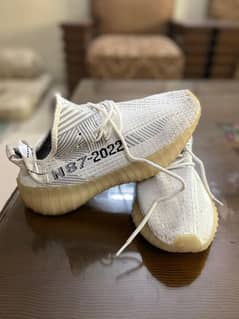 Adidas Yeezy  Size N87-2022