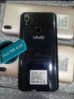 vivo