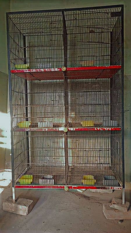 Cage for sale 03164205284 0