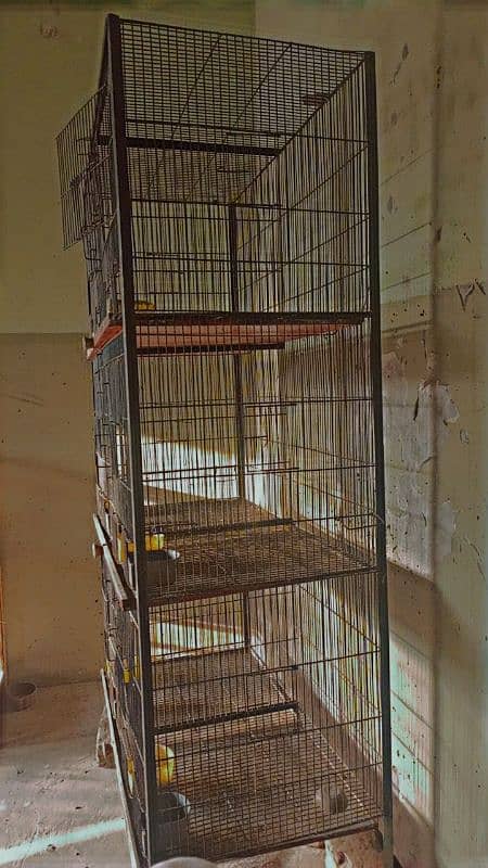 Cage for sale 03164205284 1