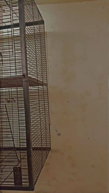 Cage for sale 03164205284 3