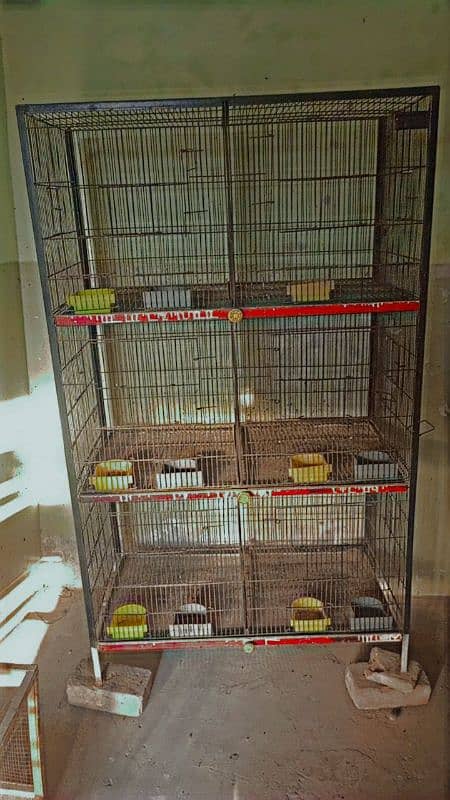 Cage for sale 03164205284 4