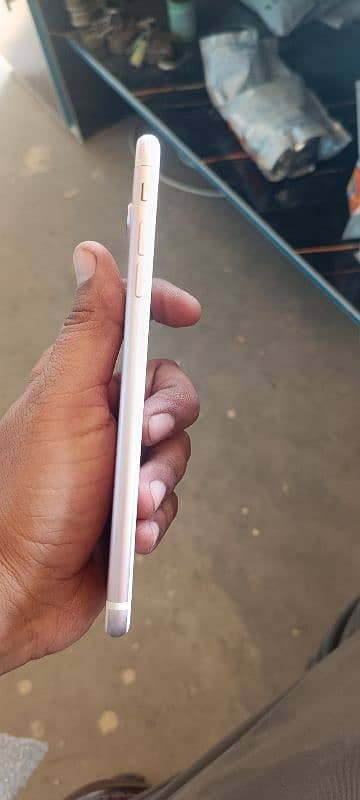 iphone 7plus 256gb pta approved 4