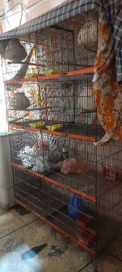 4 lovebirds pairs for sale with 8 portions cage