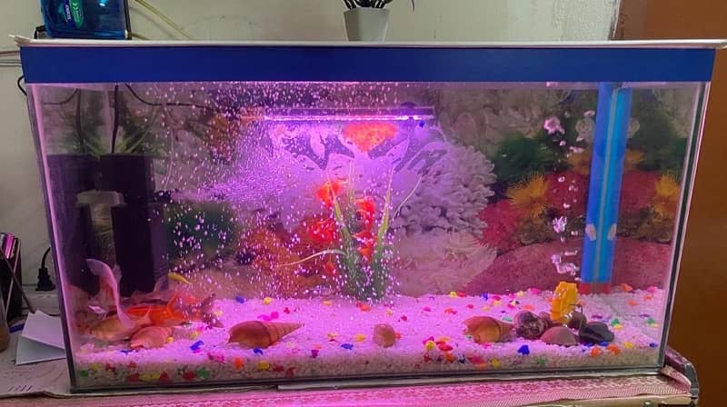 Aquarium for sale 0