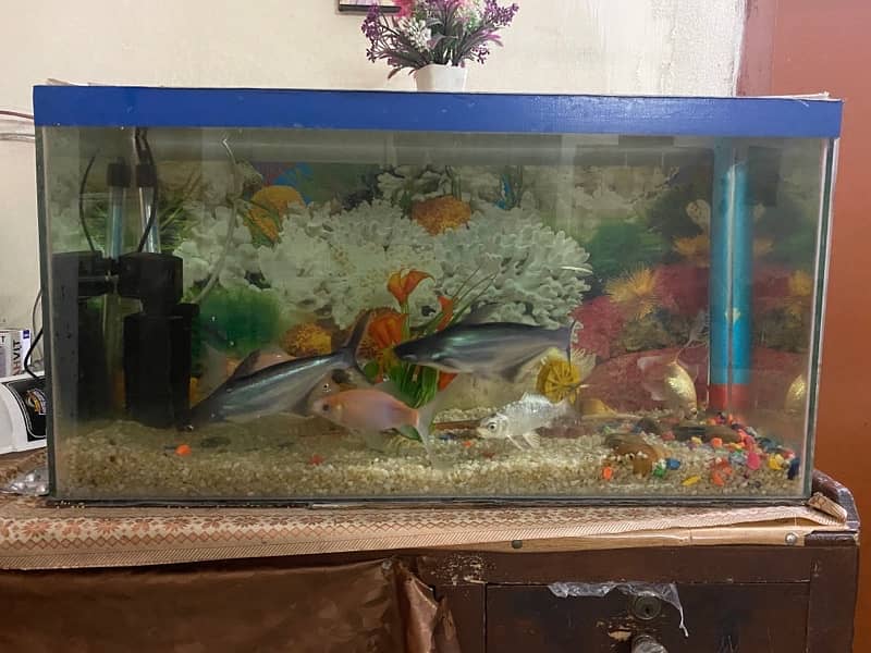 Aquarium for sale 2