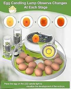 INTELLIGENT ROUND 8,12,18,35 EGG FULL AUTOMATIC INCUBATOTR