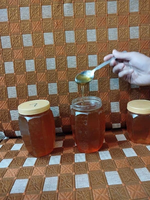 Organic Honey 1