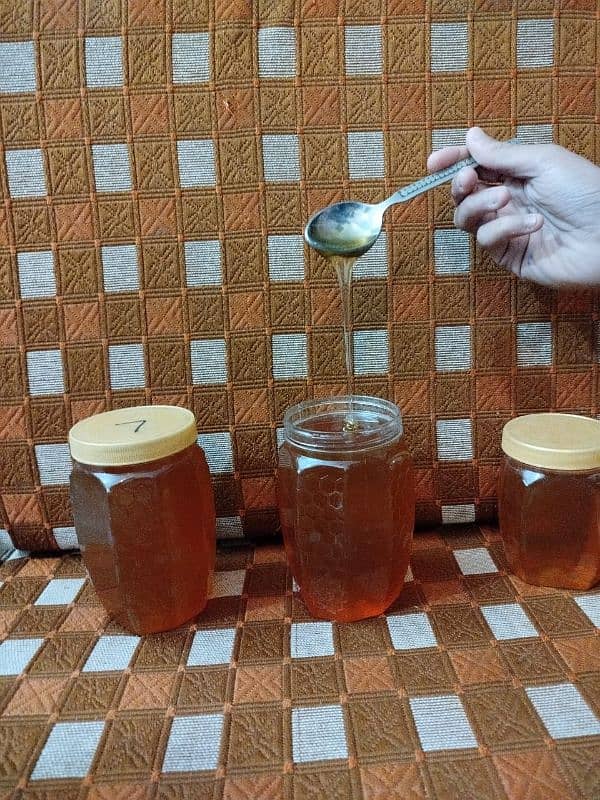 Organic Honey 3