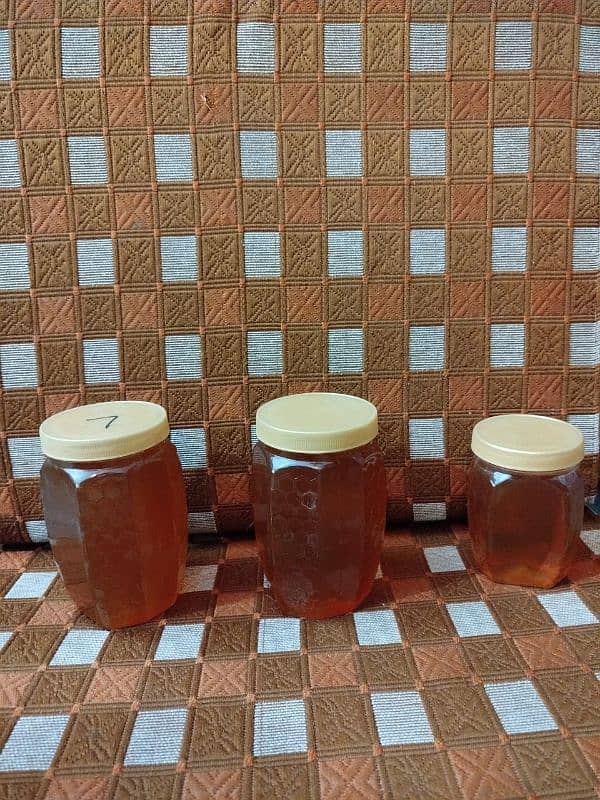 Organic Honey 5