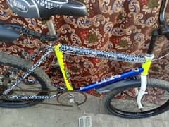 cycle for sale 20 size