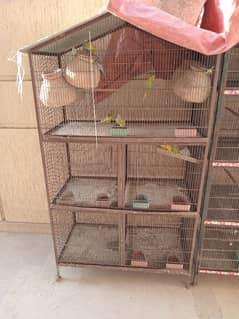 cage for sale