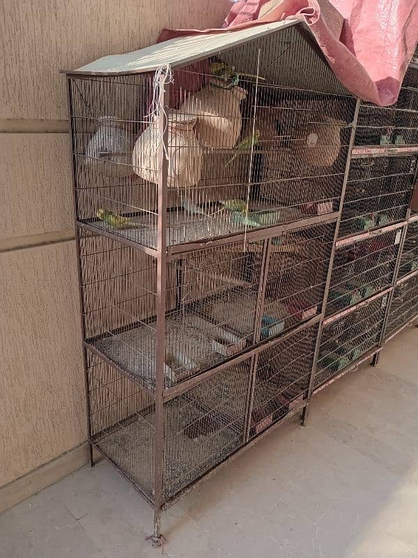 cage for sale 1