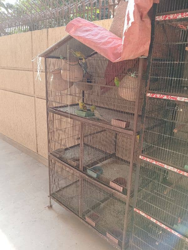 cage for sale 2