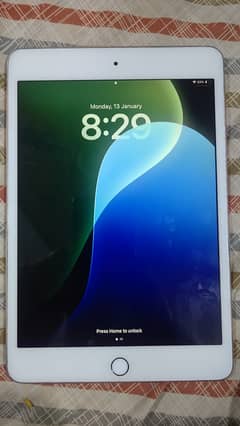 Ipad mini 5 64gb 03096349421