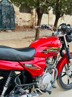 Yamaha YBZ DX 2021 | Yamaha YBZ 2021 | Yamaha Bike For Sale