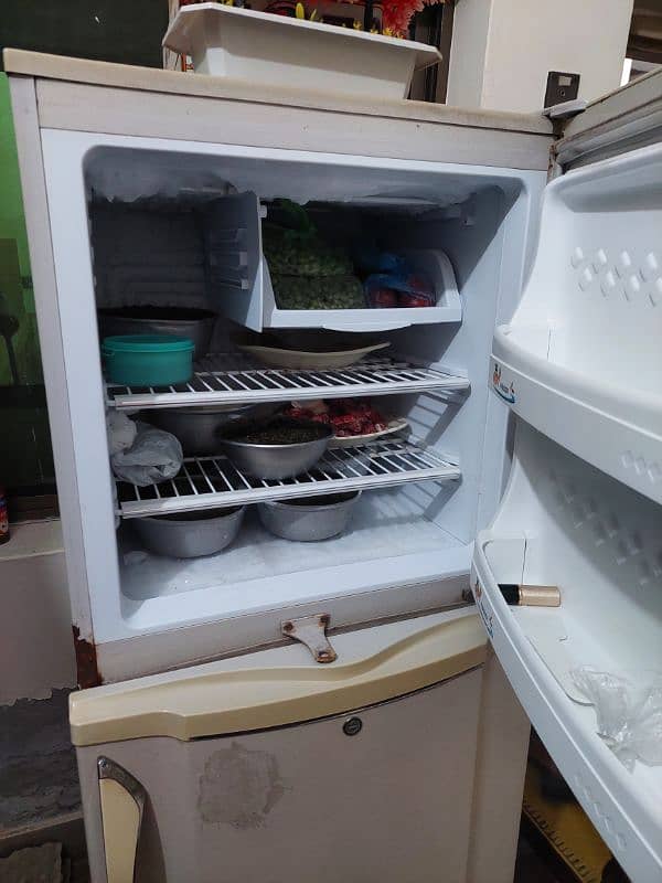 PEL REFRIGERATOR 4