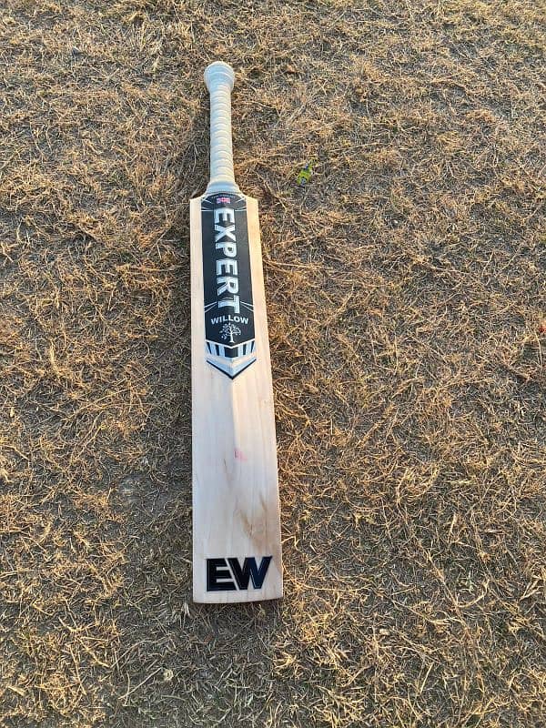 Grade 1 Cricket bat 2