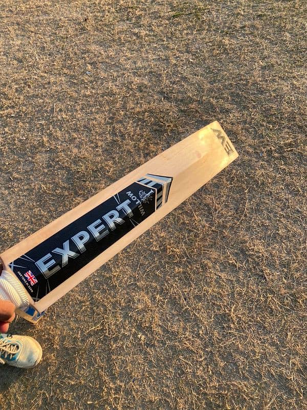 Grade 1 Cricket bat 5